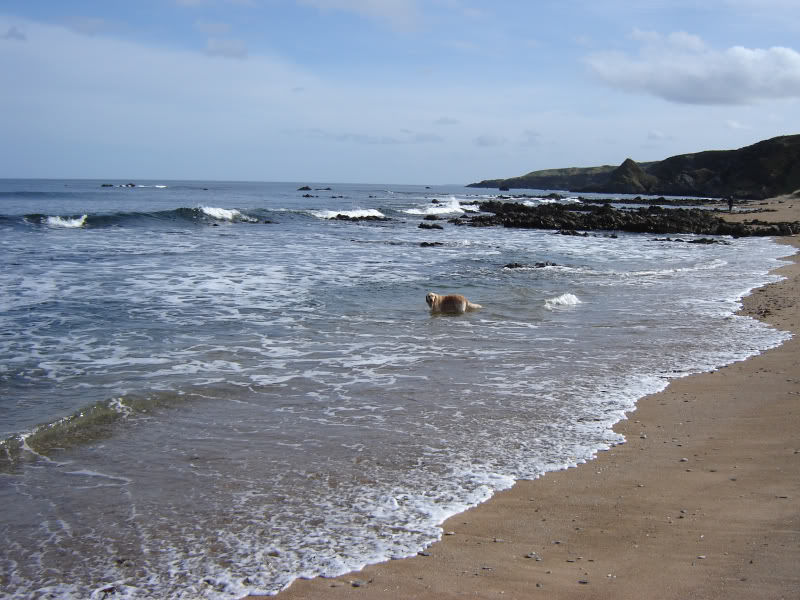 Walk Report Coastal Walk Portsoy To Cullen • Walkhighlands 